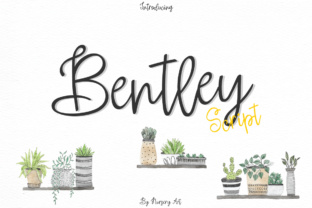 Bentley Font Review: A Handwritten Typeface for Editorial Design