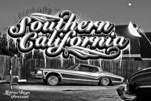 Bringing Southern California Script to Life in Branding