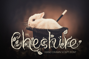 Cheshire Font: A Hand-Drawn Typeface for Editorial Mood