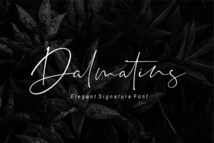 Dalmatins: The Modern Typeface for Scroll-Stopping Brand Content