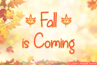 Fall is Coming: A Designer's Take on This Warm Script
