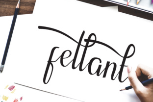 Fellant: A Modern Script Font for Polished Web Design