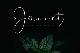 Jannet Font Review: An Elegant Signature Typeface for Branding
