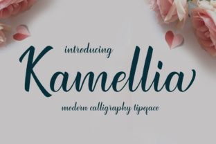 Kamellia Typeface: Elevating Web Design with Modern Script