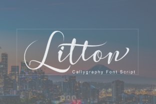 Litton Typeface Review: Elevating Campaign Visuals