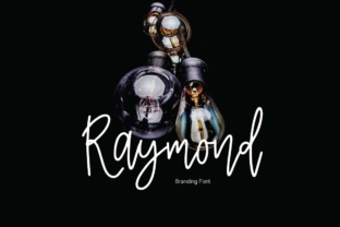 Raymond: A Striking Typeface for Modern Web Branding